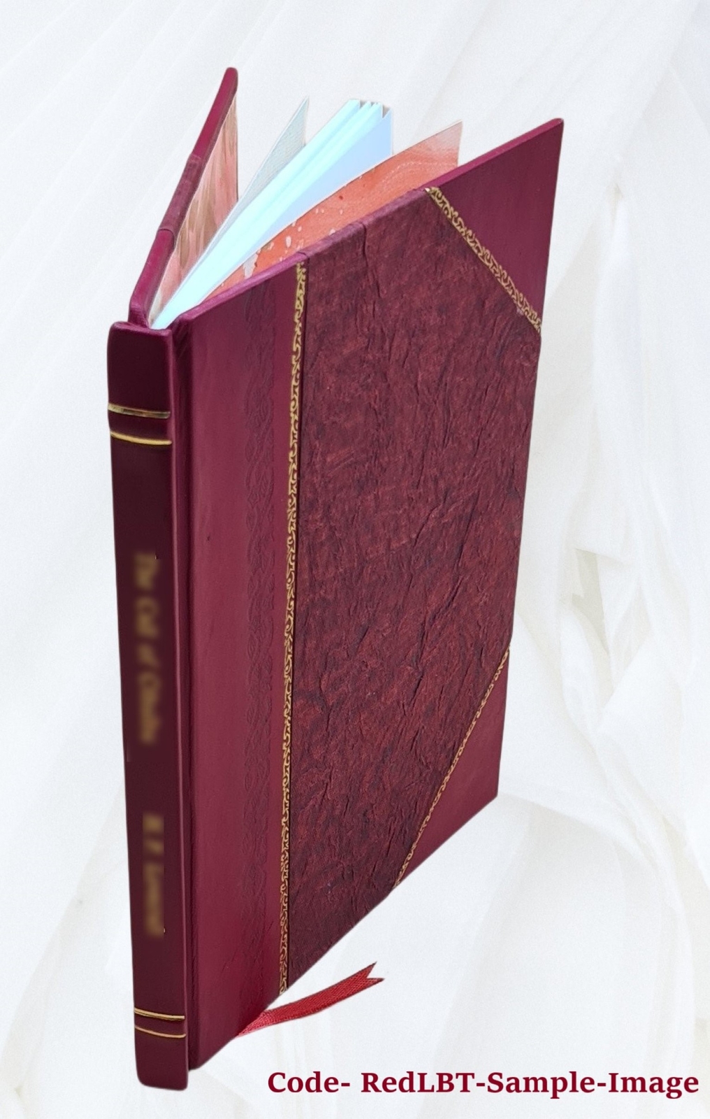 Independent or democratic church government : The divinely appoi [Leather Bound]