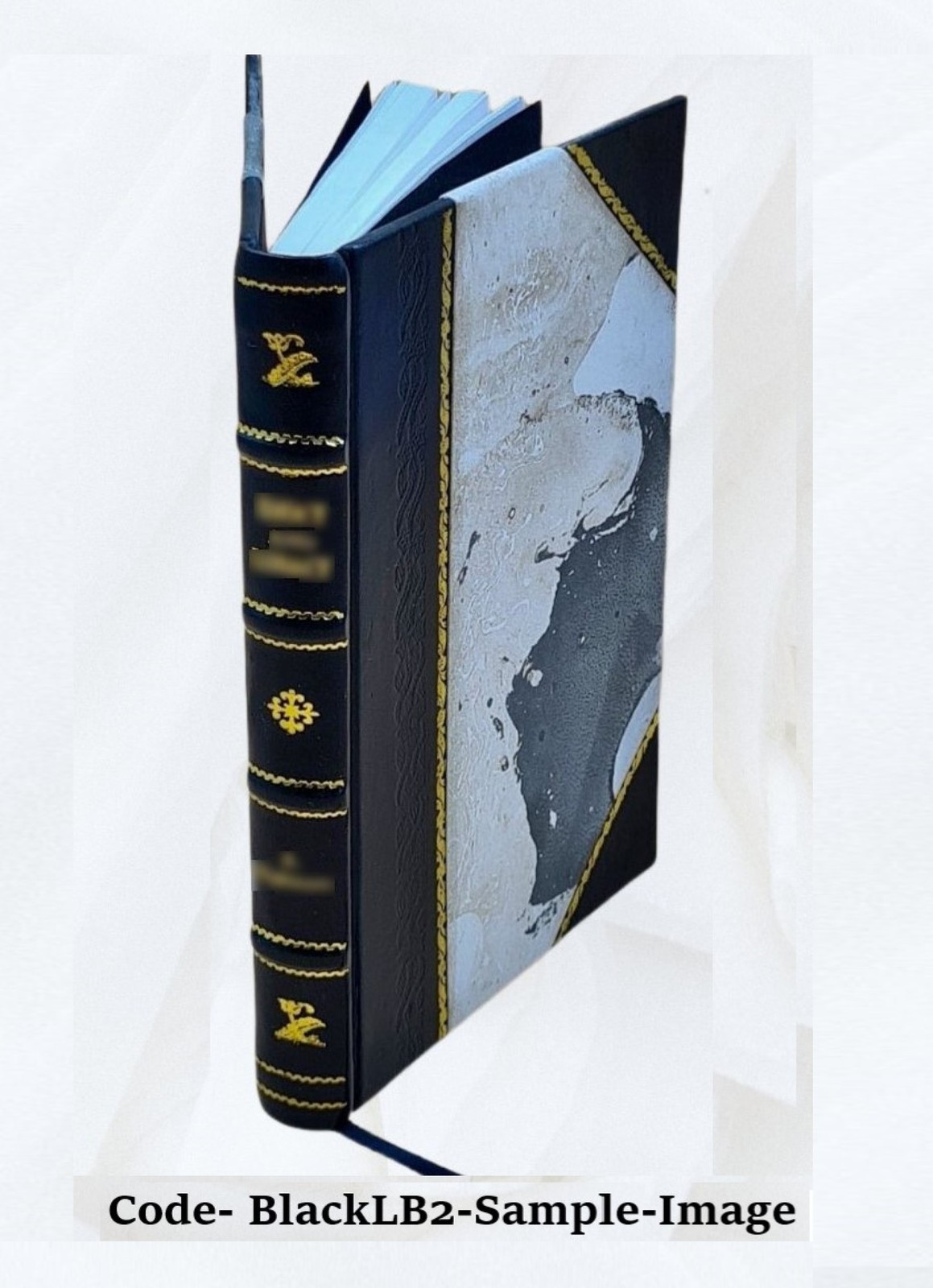 The Negro In Our History 1922 By Carter G. Woodson [Leather Bound]