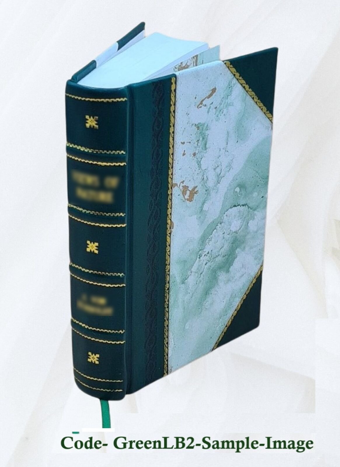 A Burning Heart : A Biography Of Erik August Skogsbergh / By Eri [Leather Bound]