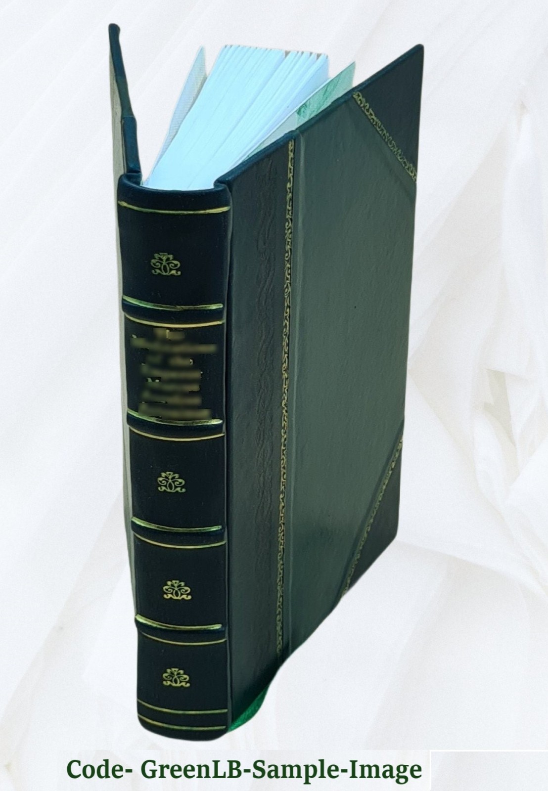 The Negro In Our History 1922 By Carter G. Woodson [Leather Bound]