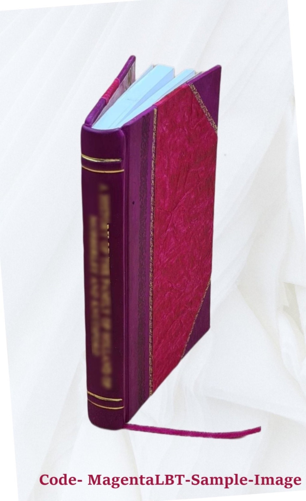 Independent or democratic church government : The divinely appoi [Leather Bound]