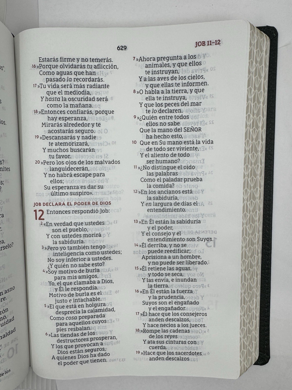 NBLA, Biblia para la Lectura Pública, Versificada, Letra Grande, Piel de Cabra,