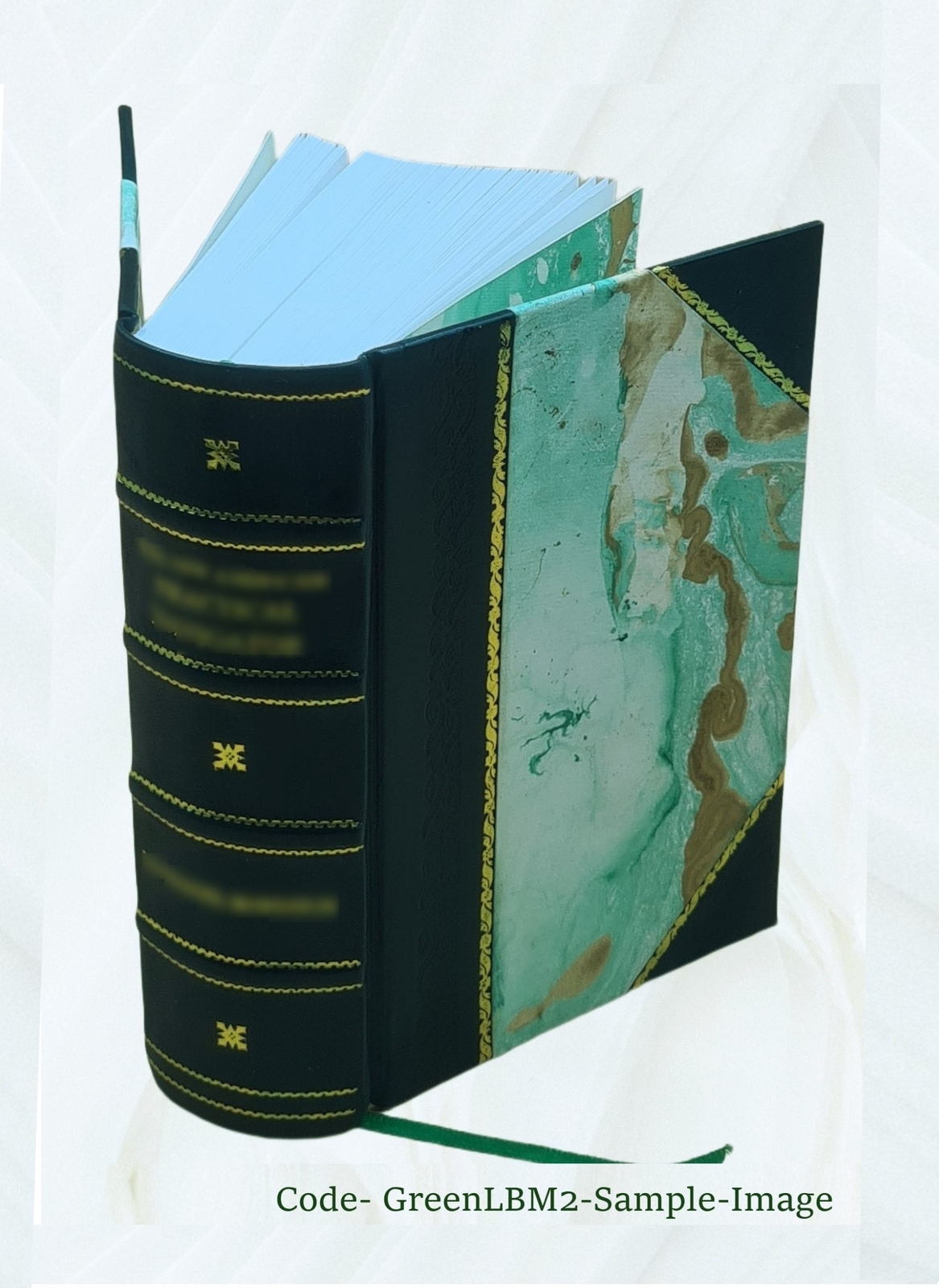 Principles of medicine: comprising general pathology and therape [Leather Bound]