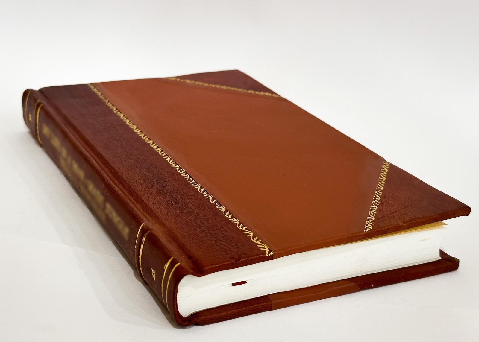 We Four and Two More by Imogen Clark [Leather Bound]
