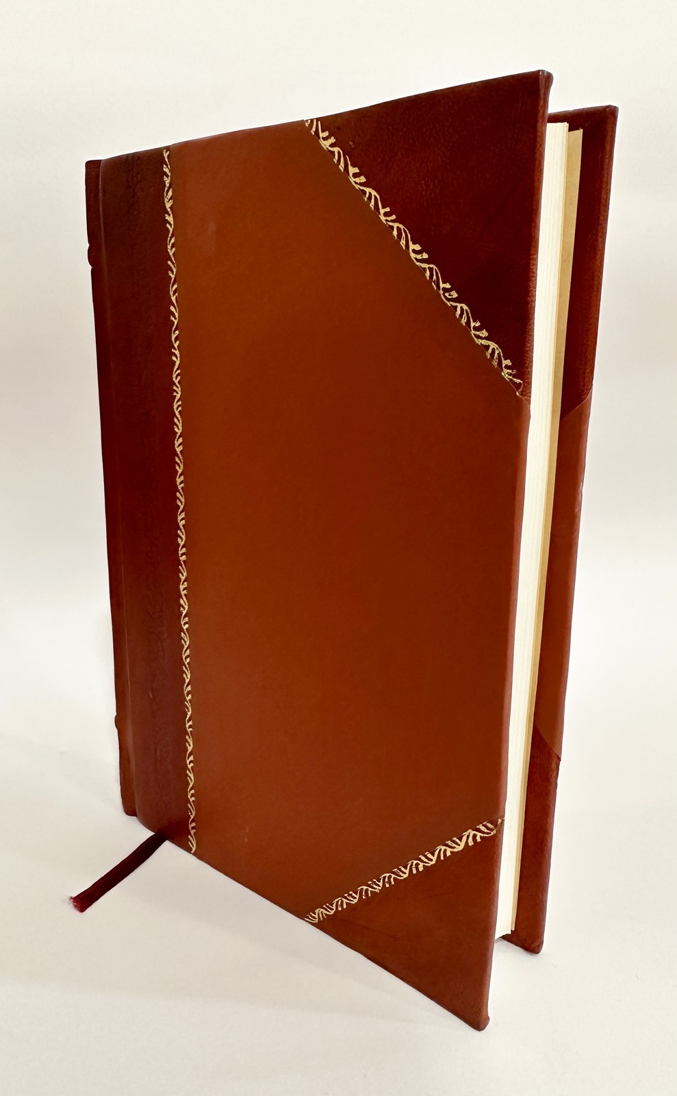 Prosper: A Novel [Leather Bound]