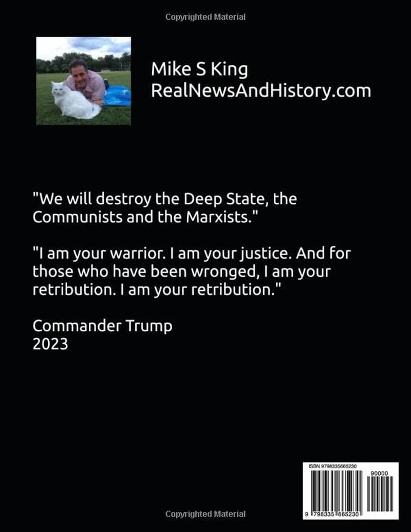 The Secret Plan to Save Humanity: A Summary of the Q Operation an