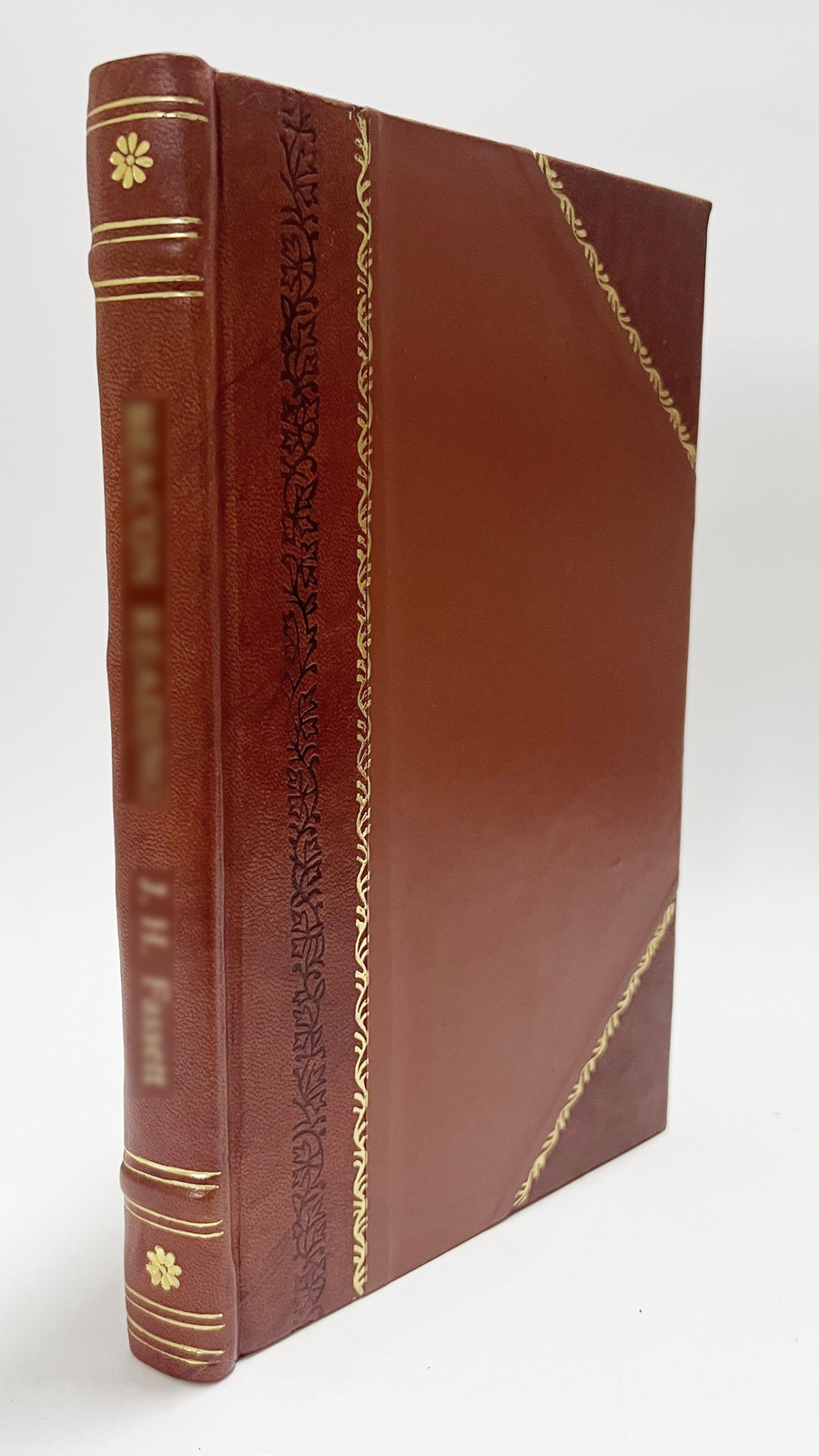 The Fathers, the Reformers, and the Public Formularies of the C [Leather Bound]