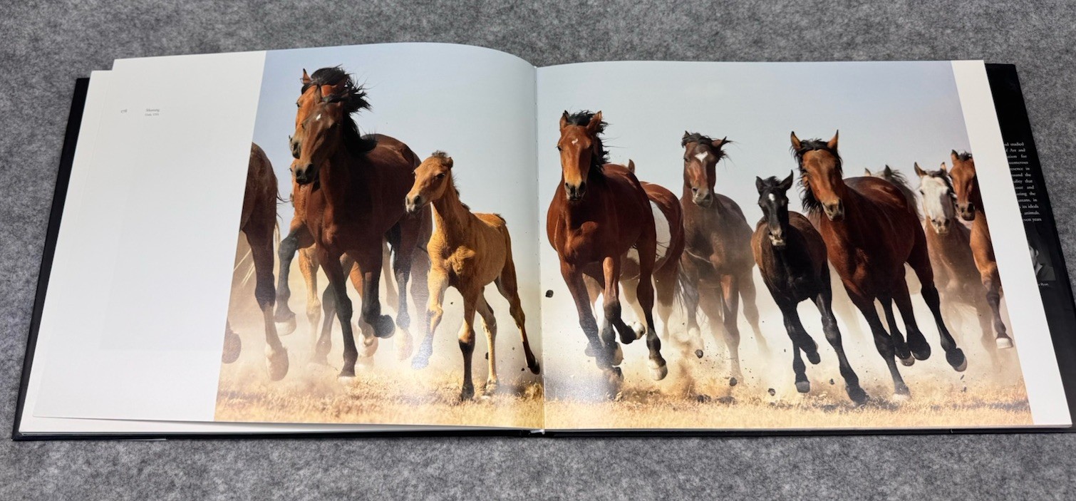 Flach Equus (Hachette/International Edition)